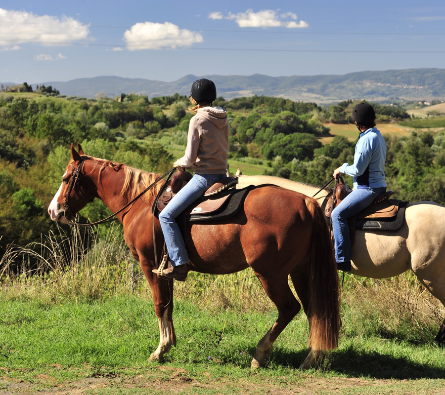 Cyprus Horse Riding