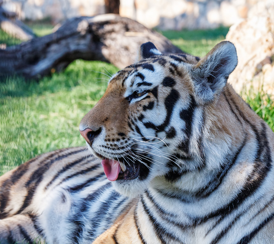 Pafos Zoo